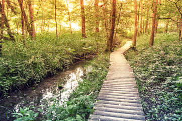 Fototapeta premium Wooden path in the forest along the river.