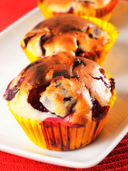 Cranberry cupcakes