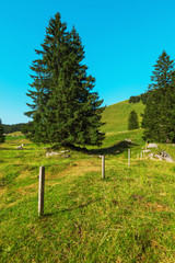 Typical European Alpine landscape, pastures and mountains