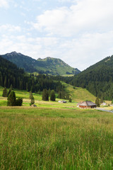 Summer landscape of mountains, green valley