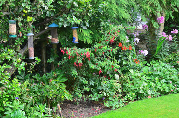 Fototapeta na wymiar Bird feeders in a typical english country garden