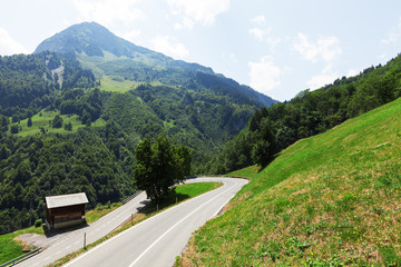 Summer mountain landscape