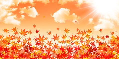 もみじ　紅葉　背景