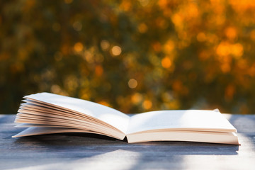 Open book on wood background