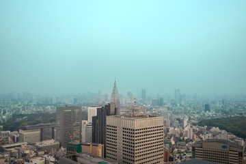 Naklejka premium Cityscape of Tokyo, the view from free observator of Tokyo Metro
