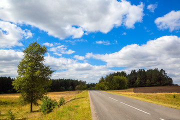 asphalted road. landscape with trees