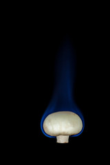 Mushroom on fire