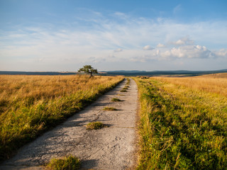 Rural mountain road
