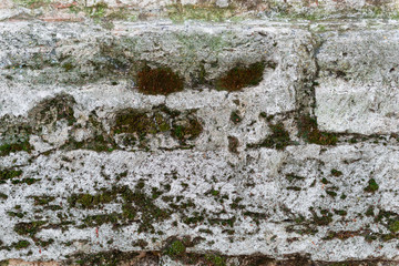 Texture. Brick. It can be used as a background