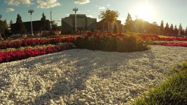 Flower Garden in city park