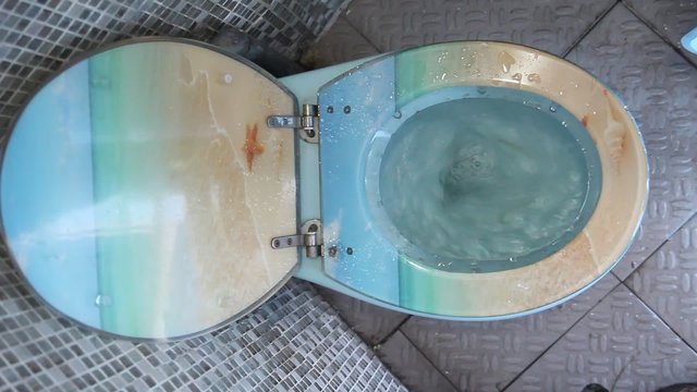 view swirling the water in the toilet bowl on a boat