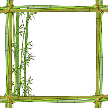 Bamboo frame