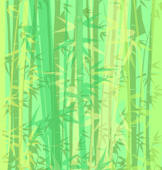 Bamboo bakcground