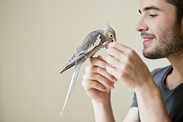 Attractive man playing with his parrot indoors © iVangelos