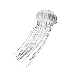Jellyfish. 3d style vector illustration for print tatto t-shirt.