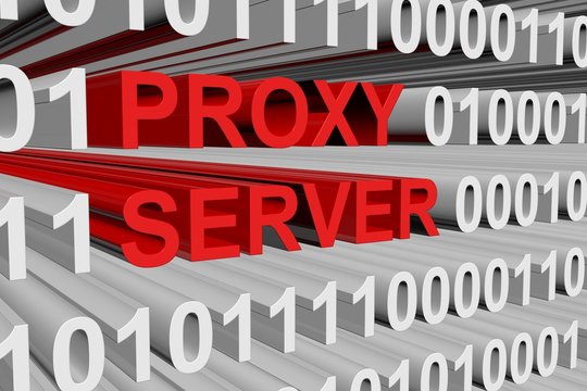proxy server is presented in the form of binary code