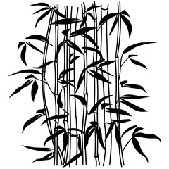 Naklejka premium Bamboo leaf background. The top of the bamboo.