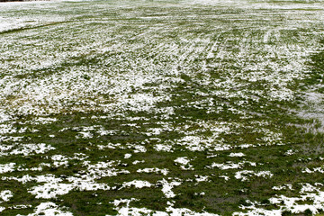 Meadow with snow in the winter