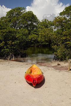 Kayak