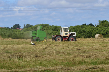 Naklejka premium haymaking