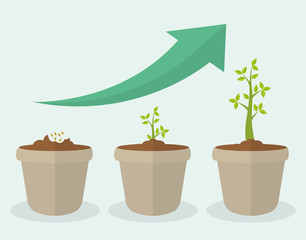 Financial growth design.