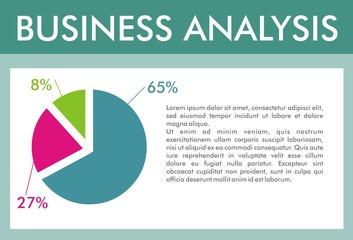 BUSINESS ANALYSIS
