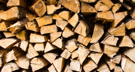 Holz aufgerichtet