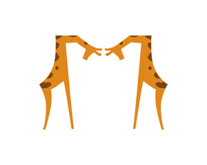 Obraz premium Twins Giraffe