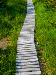 Obraz premium Wooden hiking trail