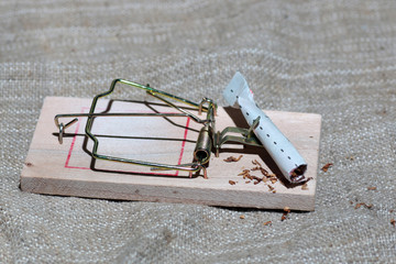 Drugs in a mousetrap cant dose syringe