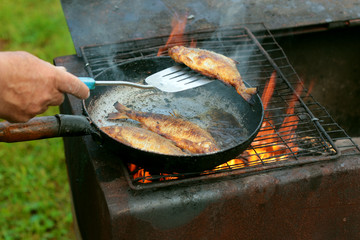 fish frying in oil on the fire