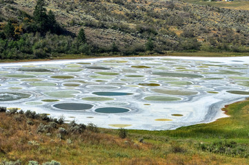 Spotted Lake : a tourism attraction near Osoyoos in British Columbia, Canada