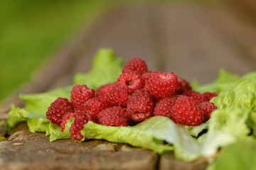 raspberry on a green leaf