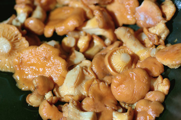 cooking chanterelle mushrooms