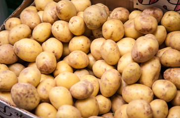 Fine potatoes at market stall