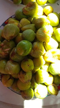fichi