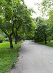 Park on the white background