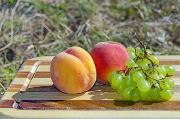 Outdoor picnic with fruits