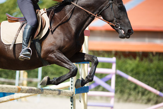 Horse rider jumping