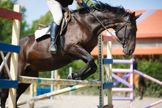 Horse rider jumping