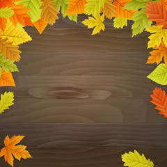 vector autumn background on wooden board