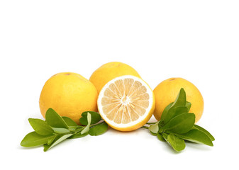 lemon