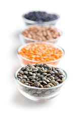 various types of lenses legumes