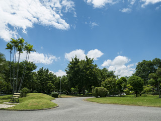 Obraz premium Park under blue sky 1