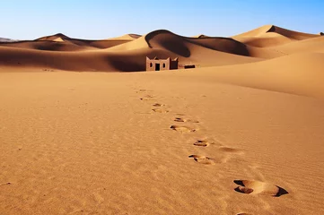 Foto op Plexiglas Sand dunes, Morocco, Erg Chebbi © longtaildog