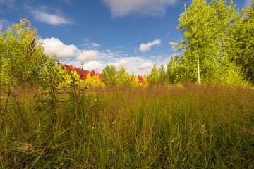 Autumn approaches