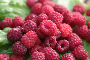 raspberry on a green leaf