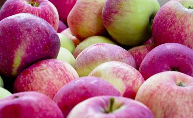 rustic apples
