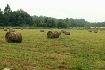 mown grass field stacks