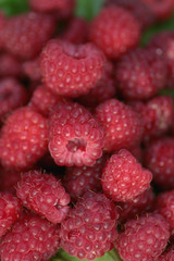 raspberry on a green leaf